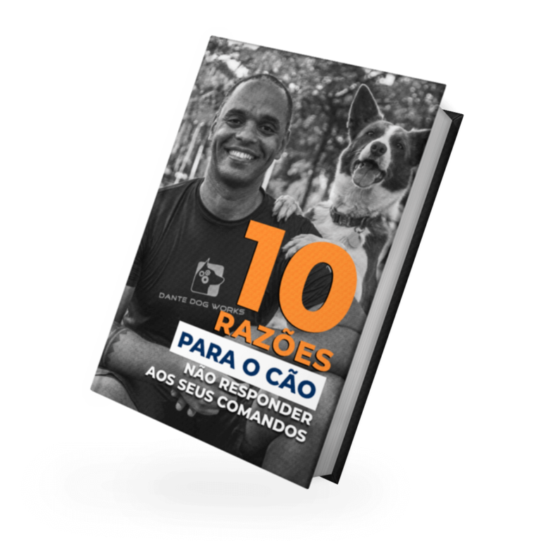 E-book 10 razões para o cão não responder aos seus comandos